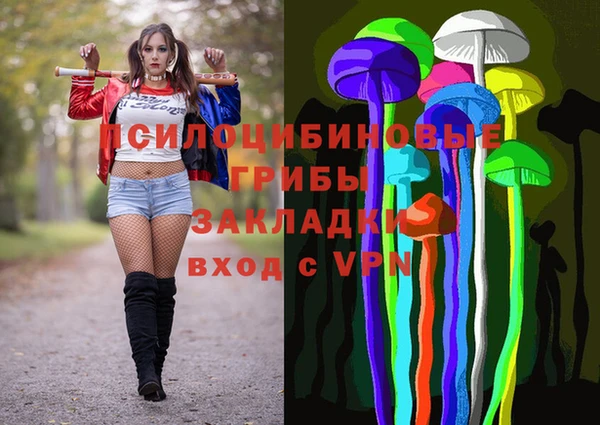 дурь Касимов