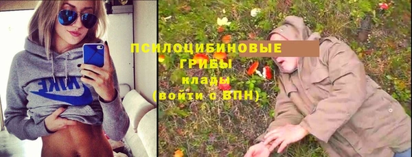 бутират Карпинск