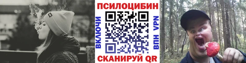 Псилоцибиновые грибы GOLDEN TEACHER  Купить где  Ивангород 